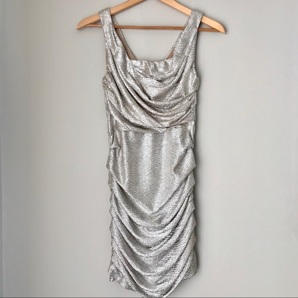 Rouged Express Silver Dress